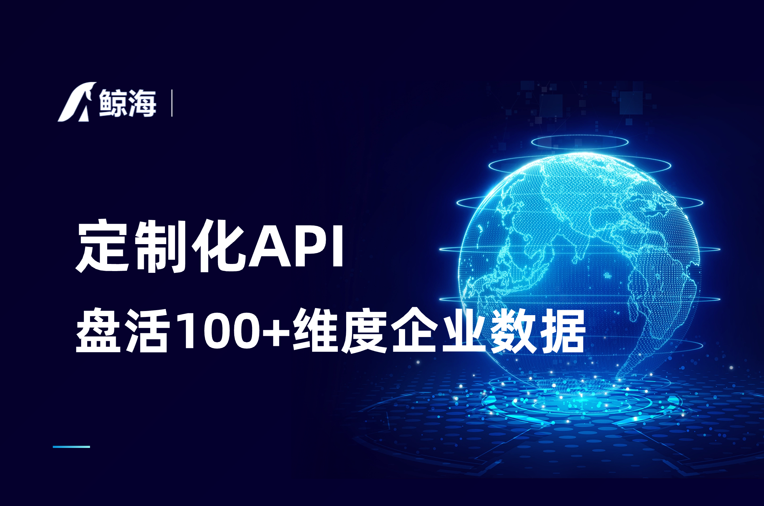 鲸海数据API定制化服务,盘活5亿实体企业数据